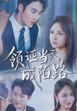 领证当天成陌路(全集)